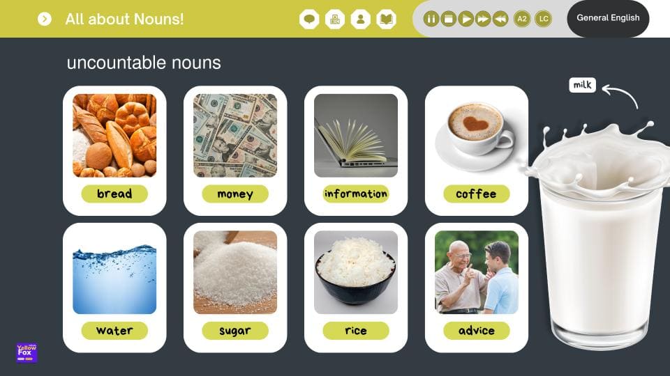 All about Nouns! - Lesson A1_A2 metodoyellowfox (2)